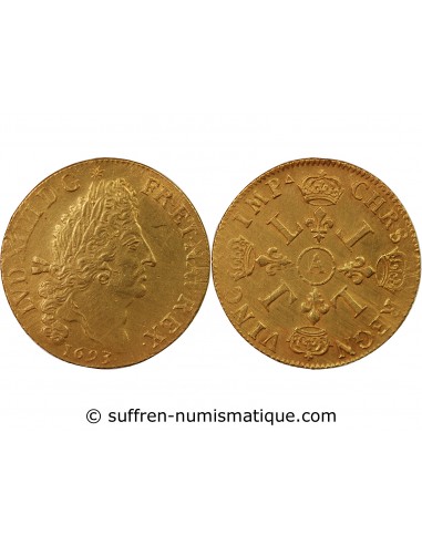 Louis XIV Double Louis d'or aux 4 L Or 1693 A Paris