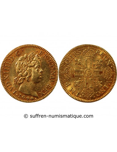 Louis XIV Louis d'or à la mèche courte Or 1644 A Paris