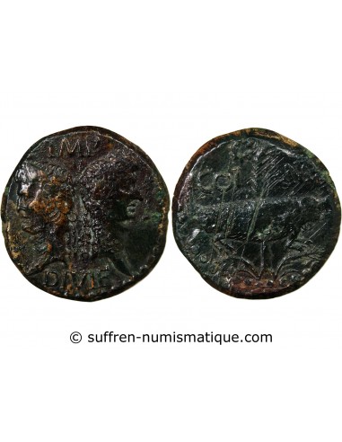 Rome - Provinces Agrippa Dupondius Bronze 29 AV JC - 10 Nîmes