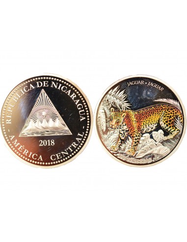 Nicaragua Jaguar 100 cordobas Argent 2018 Auckland