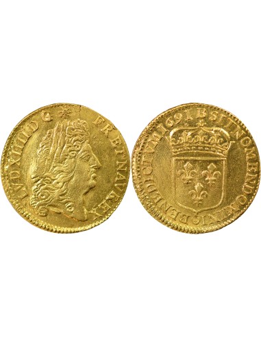 Louis XIV A l'Ecu 1 louis d'or Or 1691 B Rouen